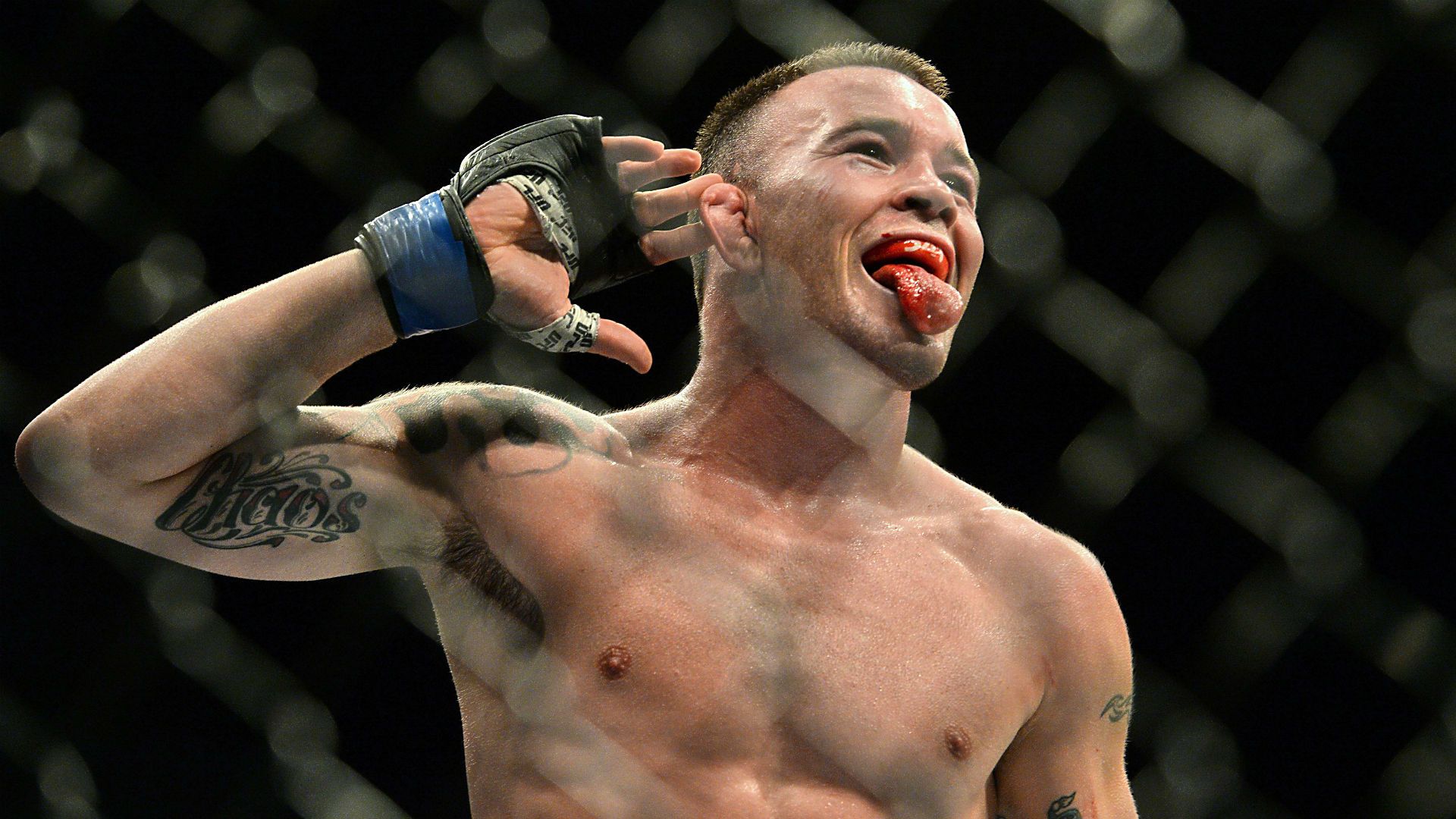 Colby Covington: "I would drag Poirier by his underpants all over the octagon until he gives up". Video