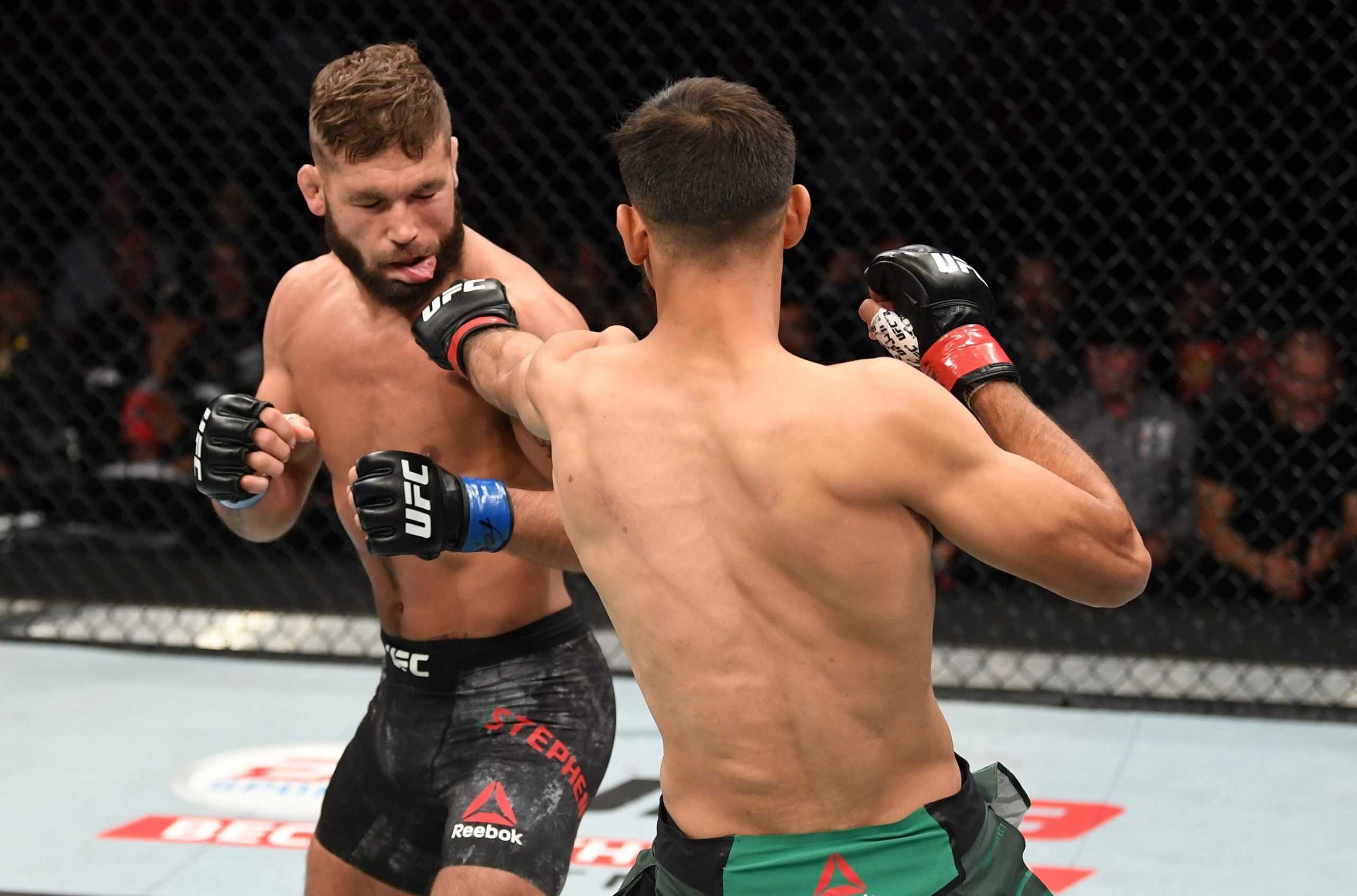 UFC members