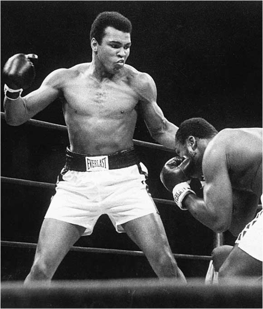 Кассий Марцелл Клэй (Muhammad Ali) : биография и происхождение - Fight.ru