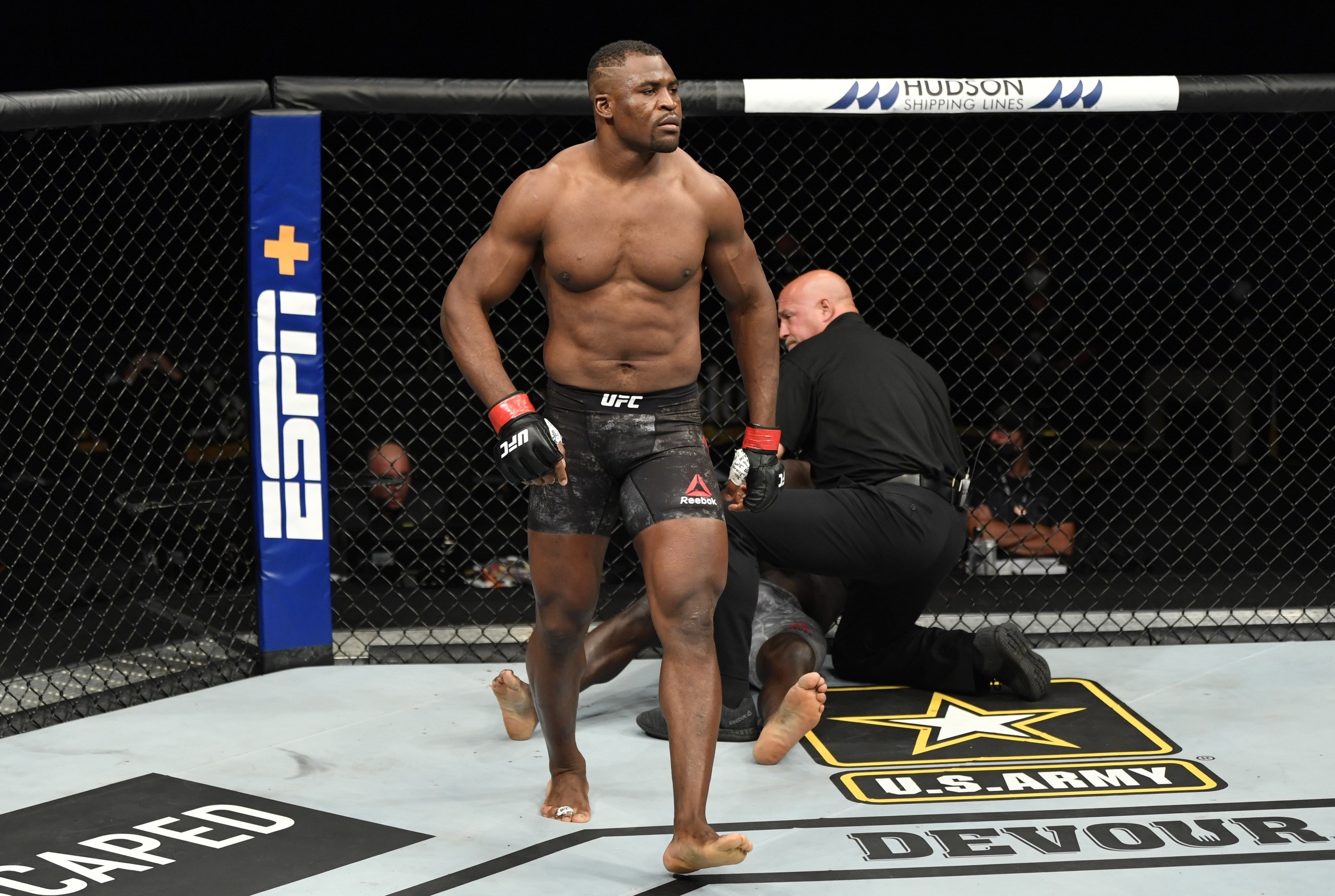 MMA news: Francis Ngannou was brutally hit in the body by an action sports athlete Ryan Williams. Video.