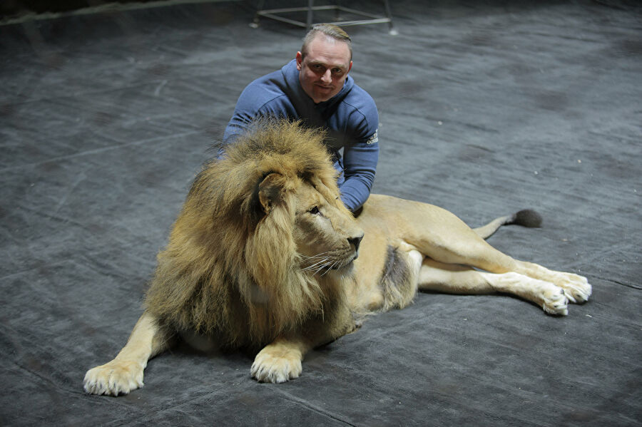 Запашный на льве. Братья запашные цирк. Лев запашных. Лев запашных. Эдгард запашный.