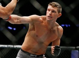 Стивен Томпсон