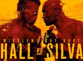 Промо к UFC: Холл-Сильва