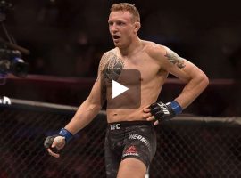 Поединок дня на UFC: Джек Херманссон - Марвин Веттори