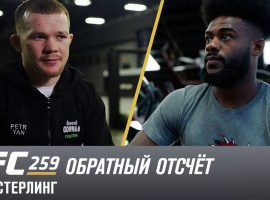 Петр Ян vs Алджамейн Стерлинг