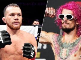 Ян и Омэлли