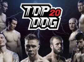 Top Dog 20 трансляция
