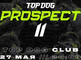 Top Dog Prospect 11 трансляция