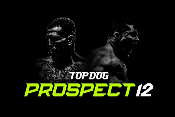 Top Dog Prospect 12 прямая трансляция