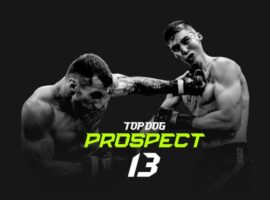 Смотреть онлайн TOP DOG Prospect 13