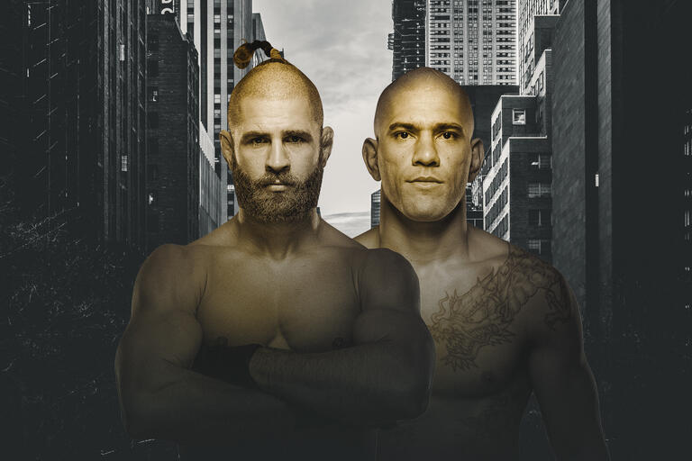 Смотреть бесплатно UFC 295