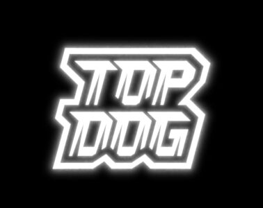 Результаты турнира TOP DOG 29