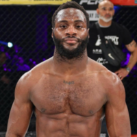 Васи Адешина